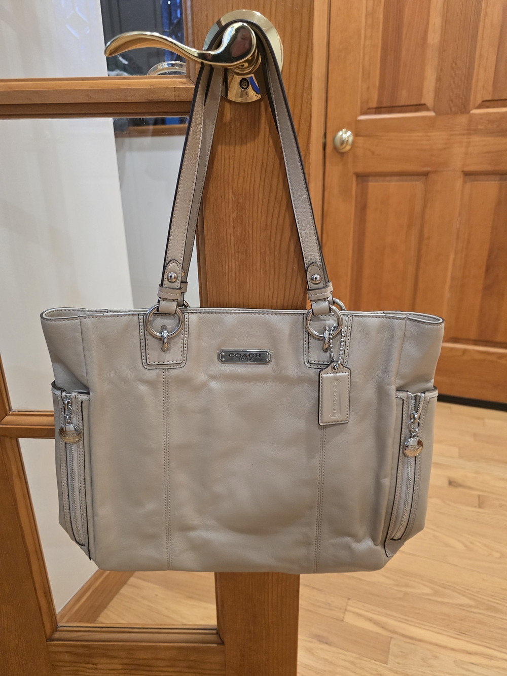 Coach Leather Tote Bag in Metalic Beige
